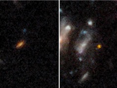 James Webb phát hiện một số thiên hà xa nhất từng thấy
