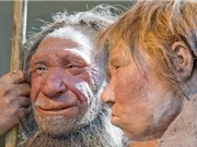 Thức ăn nấu chín lâu đời nhất cho thấy người Neanderthal biết chế biến