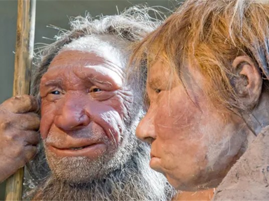 Thức ăn nấu chín lâu đời nhất cho thấy người Neanderthal biết chế biến