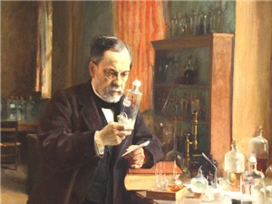 Louis Pasteur: Người chứng minh vi trùng gây bệnh