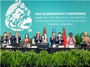 Thỏa thuận bảo vệ đa dạng sinh học toàn cầu: Có gì và thiếu gì