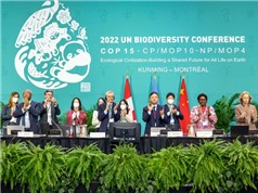 Thỏa thuận bảo vệ đa dạng sinh học toàn cầu: Có gì và thiếu gì