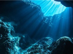 Vi nhựa lắng đọng dưới đáy biển tăng gấp 3 lần trong hai thập kỷ qua