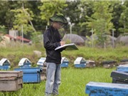 Những kỹ thuật giúp tăng tính cạnh tranh của ngành ong Việt Nam