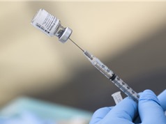 Vaccine RSV của Moderna đạt hiệu quả 84% ở người lớn tuổi