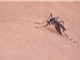 Thiết bị đuổi muỗi có kích thước nhỏ