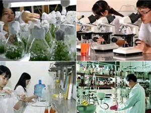 Sở KH&CN Lâm Đồng: Thông báo tuyển chọn tổ chức, cá nhân chủ trì thực hiện nhiệm vụ KH&CN năm 2023