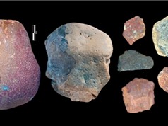 Công cụ đá cổ đại tiết lộ con người ăn thịt hà mã