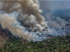 Khói cháy rừng làm tăng nguy cơ sinh non