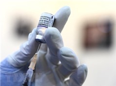 Vaccine mới giúp phòng ngừa các bệnh do nấm gây ra