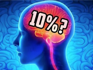 [Video] Con người chỉ sử dụng 10% não bộ?