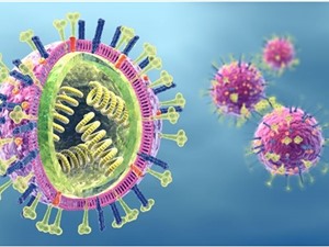 Phát hiện hợp chất mới ức chế sự nhân lên của virus cúm