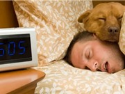 Vào mùa đông con người có thể cần ngủ nhiều hơn 