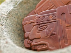 Người Maya dùng hạt cacao như một loại tiền tệ