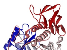 Enzyme có thể biến không khí thành năng lượng