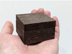 Khoai tây - chất kết dính bê tông cho các công trình xây dựng ngoài trái đất