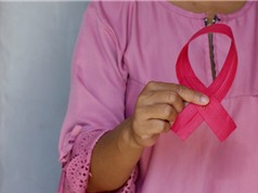Tất cả các biện pháp tránh thai nội tiết tố đều làm tăng nguy cơ ung thư vú