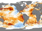 Nhiệt độ bề mặt đại dương tăng cao kỷ lục
