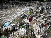 Phát hiện dạng ô nhiễm mới: rác thải nhựa liên kết hóa học với đá