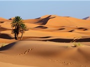 Vì sao sa mạc lại khô?