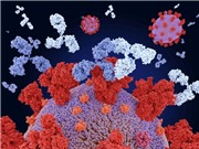 Trí tuệ nhân tạo giúp thiết kế các kháng thể nhanh hơn