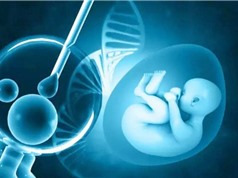 Những em bé đầu tiên sinh ra từ DNA của ba người