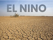 El Niño có thể gây thiệt hại nền kinh tế toàn cầu hàng nghìn tỷ USD