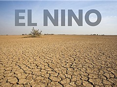 El Niño có thể gây thiệt hại nền kinh tế toàn cầu hàng nghìn tỷ USD