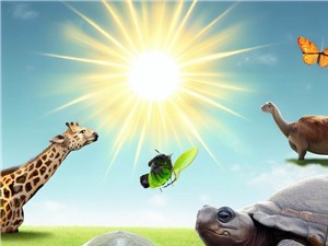 Tại sao động vật thích tắm nắng?