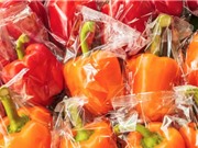 Nhựa tái chế có thể nhiễm hóa chất độc hại vào thực phẩm
