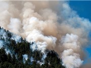 Vì sao cháy rừng ở Canada cực nghiêm trọng?