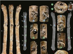 Phát hiện sáo 12.000 năm tuổi làm từ xương chim