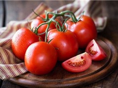 Tranh cãi pháp lý về vị thế của cà chua