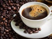 Trồng cà phê không chứa caffein