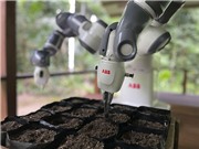 [Video] Robot gieo hạt hỗ trợ tái trồng rừng Amazon