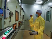 Hợp tác Việt Nam – Hàn Quốc: Tái tập trung vào năng lượng hạt nhân