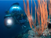 Càng xuống sâu, ô nhiễm nhựa ở các rạn san hô càng nghiêm trọng