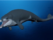Phát hiện cá voi từ 41 triệu năm trước trong sa mạc Ai Cập