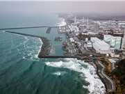 Nhật Bản bắt đầu xả nước nhiễm phóng xạ từ Fukushima ra biển