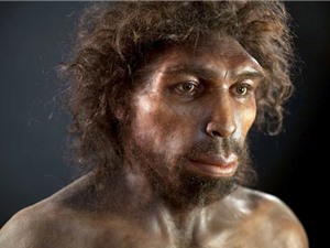 Tổ tiên loài người suýt tuyệt chủng cách đây 900.000 năm