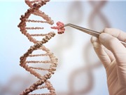 Công cụ chỉnh sửa gene mới hiệu quả hơn CRISPR