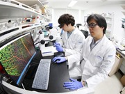 Hàn Quốc: Đề xuất cắt giảm ngân sách khoa học