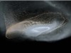 Nghiên cứu mới lý giải sự hình thành các vành đai Sao Thổ