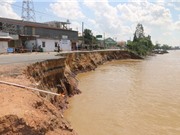 WWF Việt Nam: Đồng bằng sông Cửu Long có thể cạn kiệt cát vào năm 2035