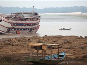 Mực nước các sông ở Amazon xuống thấp nhất trong 121 năm 