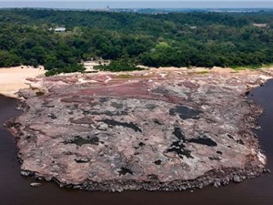 Hạn hán ở Amazon làm lộ ra những tảng đá cổ chạm khắc 