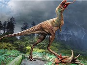Hóa thạch tiết lộ bữa ăn của khủng long bạo chúa non