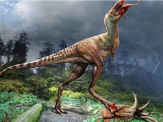 Hóa thạch tiết lộ bữa ăn của khủng long bạo chúa non