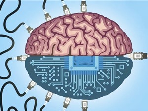 ‘Máy tính sinh học’ kết hợp mô não với phần cứng điện tử
