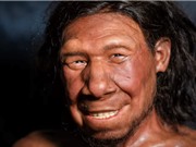 Thói quen dậy sớm có thể được thừa hưởng từ tổ tiên lai tạo Neanderthal 